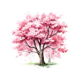 Sakura Tree watercolor. Vector illustration design.