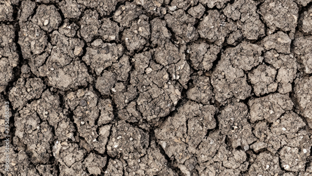 texture of cracked soil, texture of the ground texture of cracked soil, texture of the ground