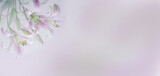 Delicate purple lilies. pastel delicate colors. Flat view. Banner. Lots of free space.
