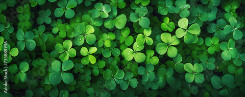 Vast expanse of shamrock leaves stretches out in forest. Each clover leaf has distinctive trifoliate shape painting landscape with emerald hue