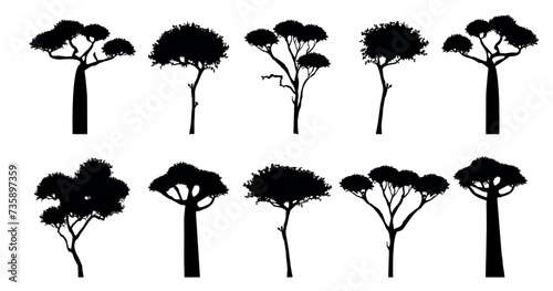 Canvas Print silhouette trees of african savannah vector set