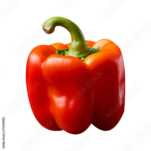 Vector red paprika, fresh color sweet pepper isolated on white background