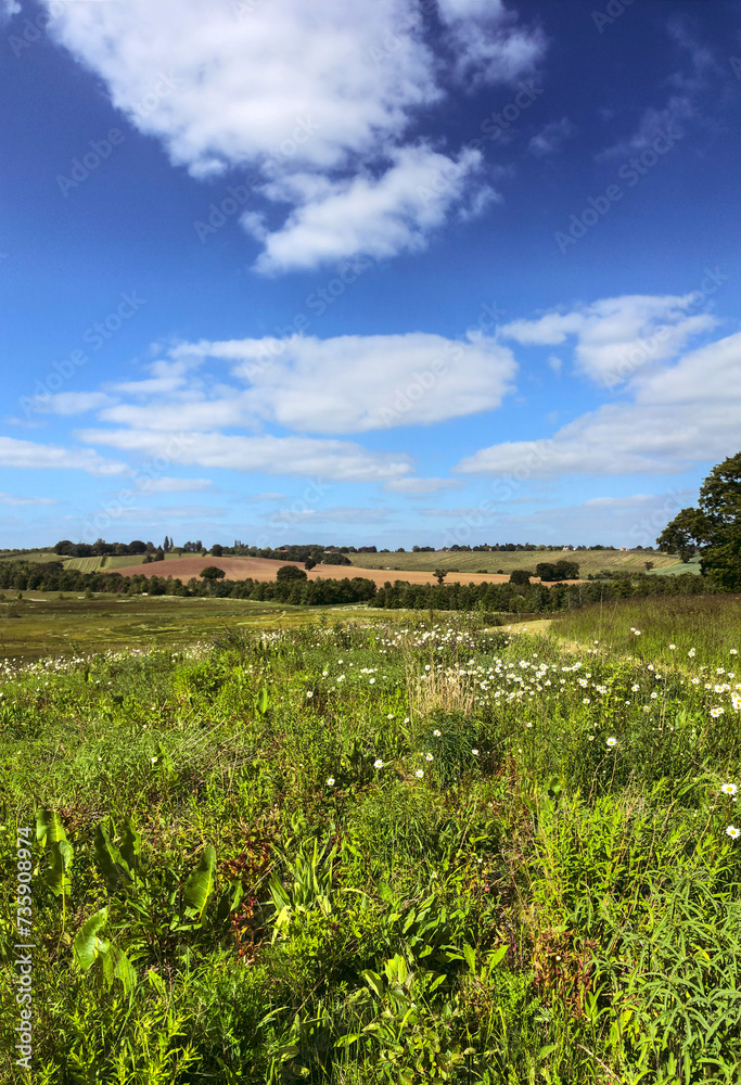Medow fields and a blue sky, tree, path in countryside England. Picturesque, panorama