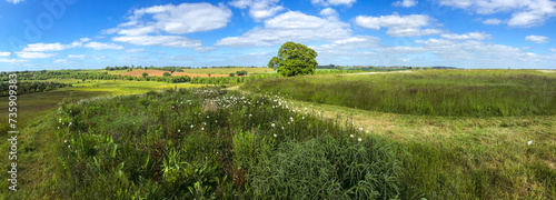 Medow fields and a blue sky, tree, path in countryside England. Picturesque, panorama