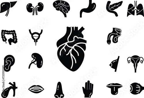 Human Anatomy Icon set, Heart, Kidney, liver, pancreas, spleen, nose, hand, brain, gallbladder, tongue, eye, vesica urinary, bladder, teeth © Ikitah