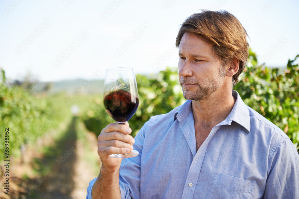 Man, farmer and vineyard with glass of wine for quality control, agriculture and sustainable winery. Vintage, red drink and nature in New Zealand, grape fields and small business for organic alcohol
