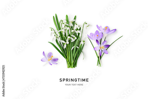 Snowdrop and crocus flowers bouquet isolated on white background.