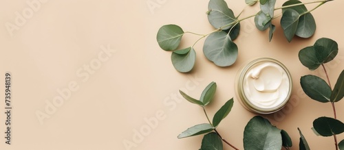 Organic Eucalyptus Cream Jar for Skincare and Wellness with Aromatic Leaves