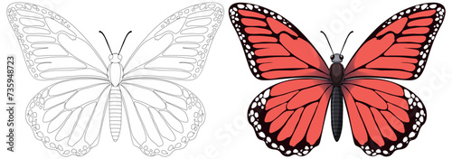 Colorful and line art butterfly illustrations side by side.
