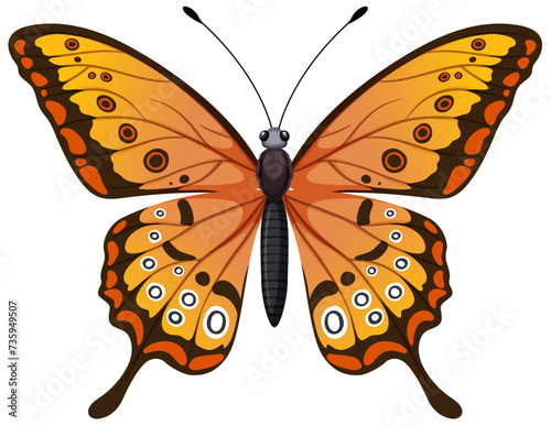 Colorful detailed butterfly with symmetrical wings