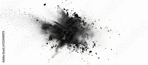 A monochrome photography art piece showcasing a black ink splash on a white background, resembling a cloud in the sky or a plant growing in the soil