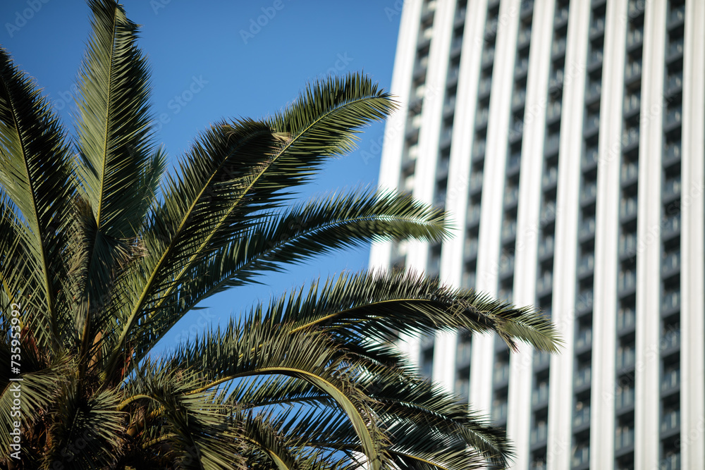 Minimalistic photo of a modern building with a striped pattern on its exterior stands out against a clear blue sky. A palm tree is visible to the left of the building