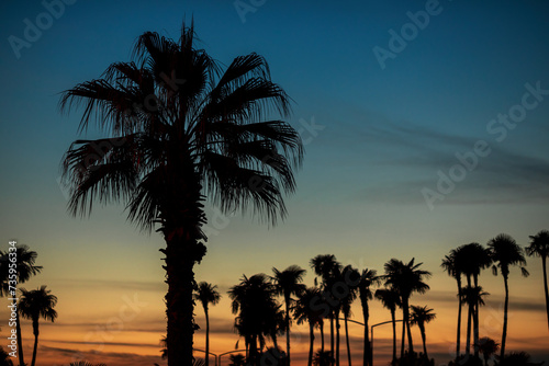 Obraz na płótnie Silhouettes of palm trees on seashore at gorgeous sunset w salonie