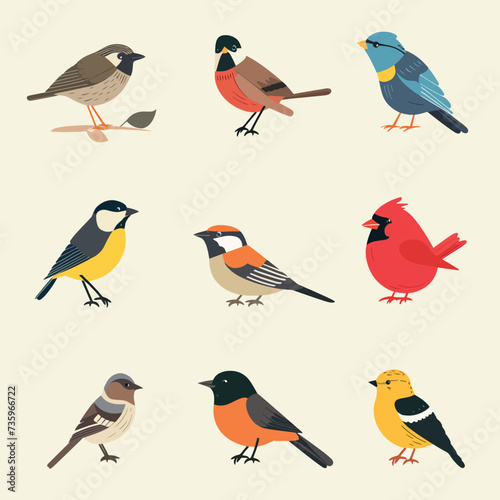 Vector bird set in flat vector style.