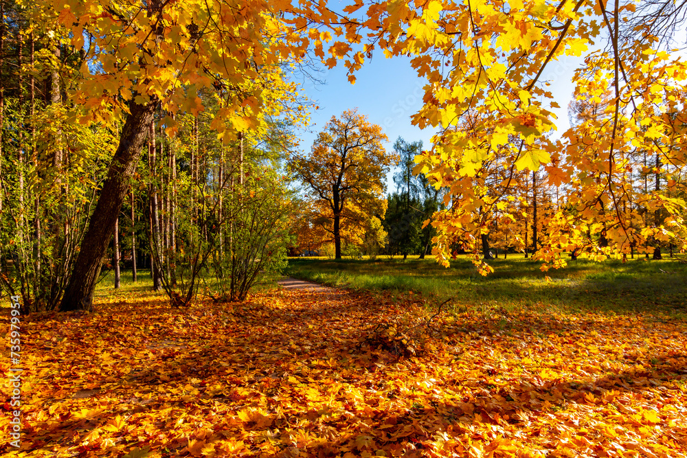Catherine park in autumn foliage, Pushkin (Tsarskoe Selo), St. Petersburg, Russia Catherine park in autumn foliage, Pushkin (Tsarskoe Selo), St. Petersburg, Russia