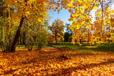 Catherine park in autumn foliage, Pushkin (Tsarskoe Selo), St. Petersburg, Russia