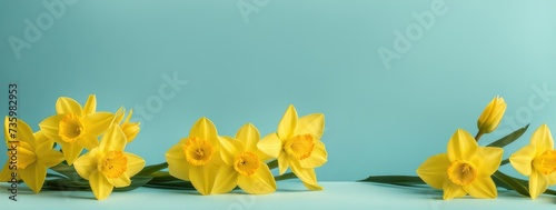 Bright Yellow Daffodils Against Blue