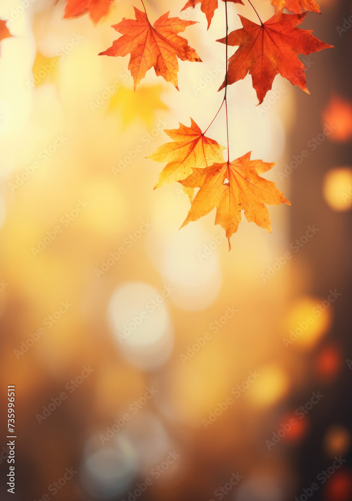 Seasonal Splendor: Colorful Autumn Leaves with Copy Space
