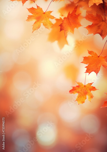 Maple Majesty  Autumn Leaves Frame in Nature s Bokeh 