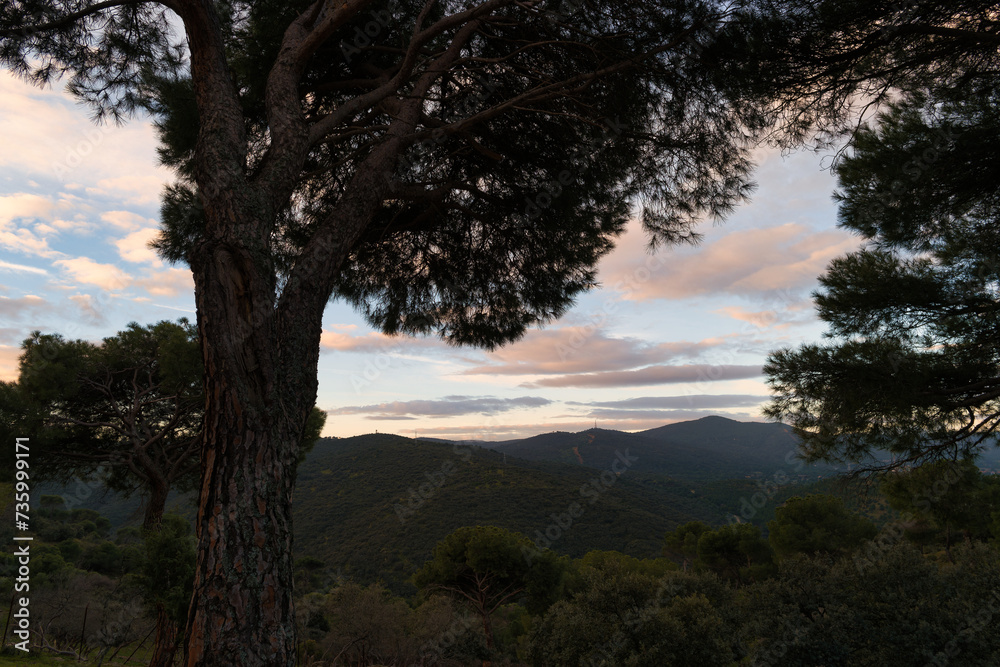 landscape, mountains, view, plants, nature, huspania, spring, tr landscape, mountains, view, plants, nature, huspania, spring, tr