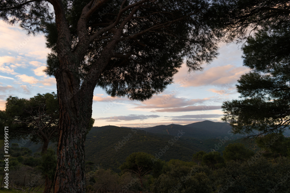 landscape, mountains, view, plants, nature, huspania, spring, tr