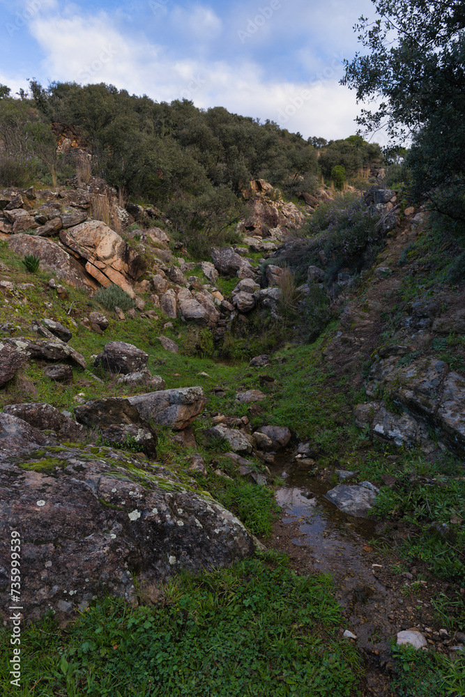 landscape, mountains, view, plants, nature, huspania, spring, tr landscape, mountains, view, plants, nature, huspania, spring, tr