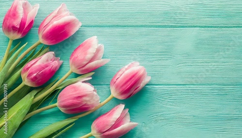 pink tulips on turquoise background with copy space top view banner for website