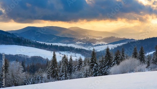 carpathian countryside scenenry in winter season at sunrise rural landscape with snow covered fields on the forested hills in shade of a mountains beneath a cloudy sky