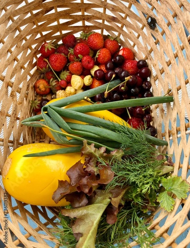 basket of fresh vegetables in a placed vegetable garden