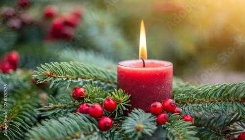 close up of a candle in a spruce tree with berries