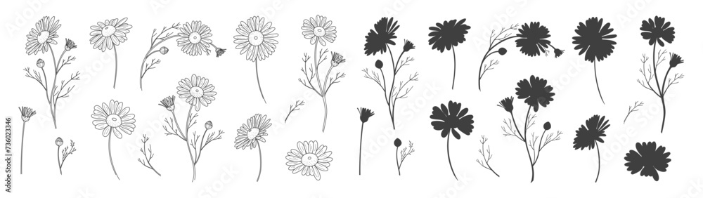 Obraz premium Set of colors and logo. Trendy botanical elements. Hand drawn line leaves branches and blooms. Vector trendy greenery