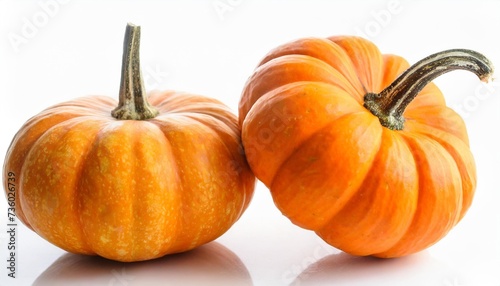 two mini pumpkin isolated on white