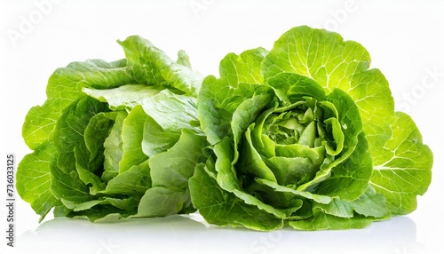 fresh lettuce isolated on white background with clipping path