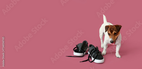 Funny naughty dog playing with shoes on pink background with space for text photo
