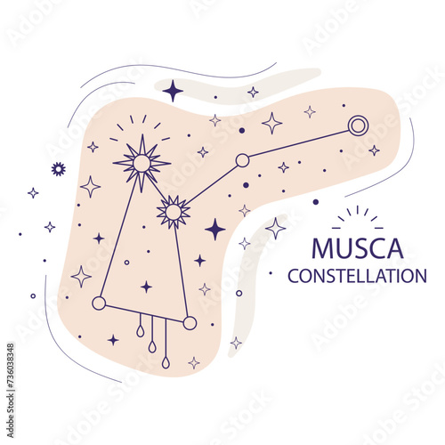 Star constellation Muska vector illustration