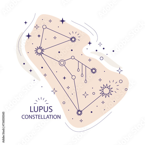 Star constellation Lupus vector illustration