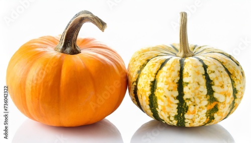 two mini pumpkin isolated on white