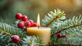 close up of a candle in a spruce tree with berries