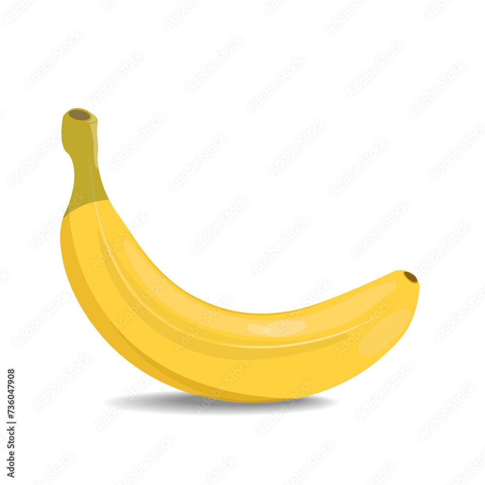 Vector illustration  fresh banana with shadow. Image of banana on white background.