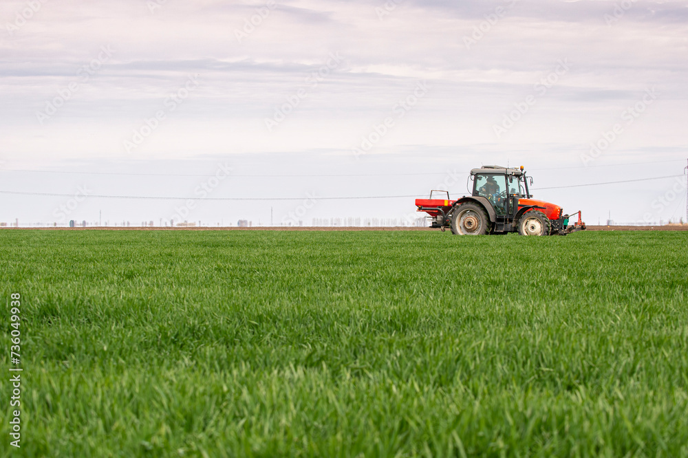 Tractor spreading artificial fertilizers in wheat field Tractor spreading artificial fertilizers in wheat field