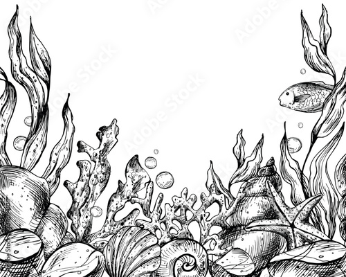 Underwater world clipart with sea animals whale, turtle, octopus, seahorse, starfish, shells, coral and algae. Graphic illustration hand drawn in black ink. Template, frame EPS vector
