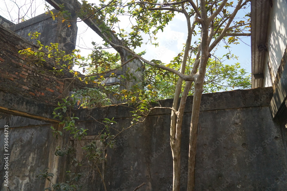 Fototapeta premium Ruins of an old house with a through passage. Destruction.