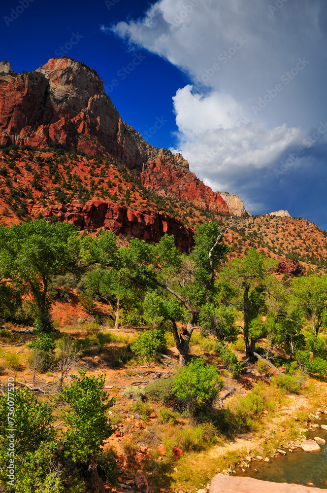 Φωτογραφία The Sentinel mountain towering above the Virgin river, Zion National Park, Utah, Southwest USA