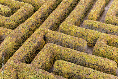 Labyrinth in a botanical garden photo