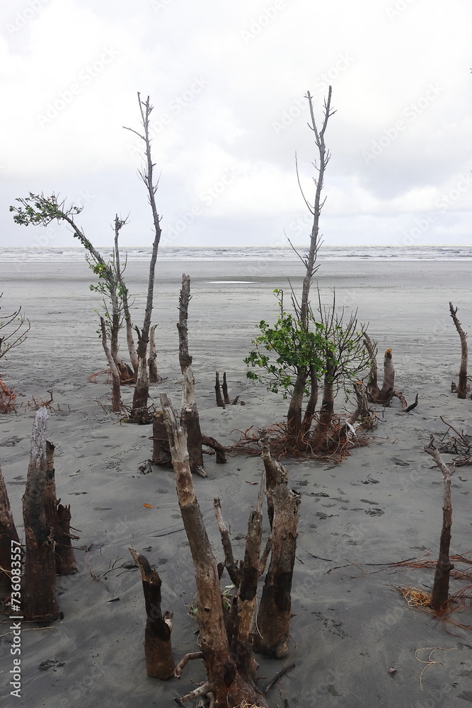 henry's island sea beach, beautiful coastline of bakkhali and vacation destination near kolkata in west bengal, india