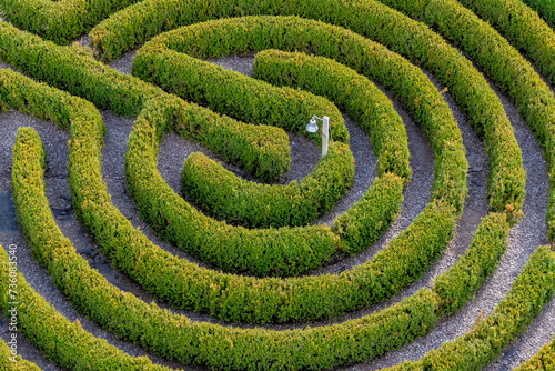 Labyrinth in a botanical garden photo