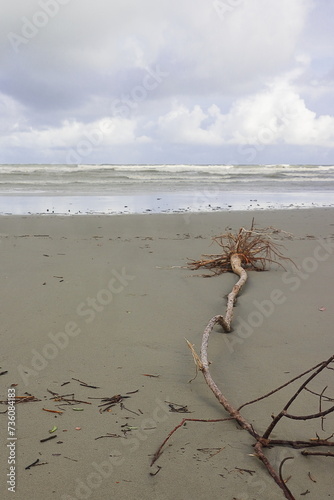 henry's island sea beach, beautiful coastline of bakkhali and vacation destination near kolkata in west bengal, india photo