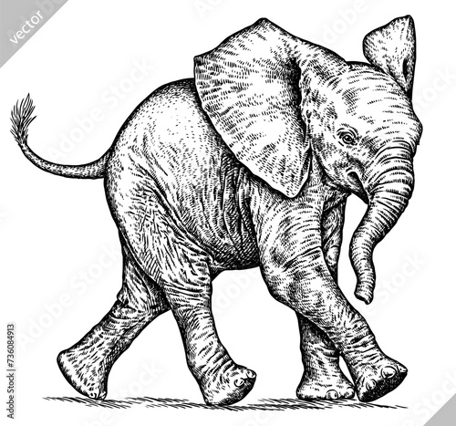 Vintage engraving isolated elephant set illustration ink sketch. African bishop background animal silhouette art. Black and white hand drawn vector image