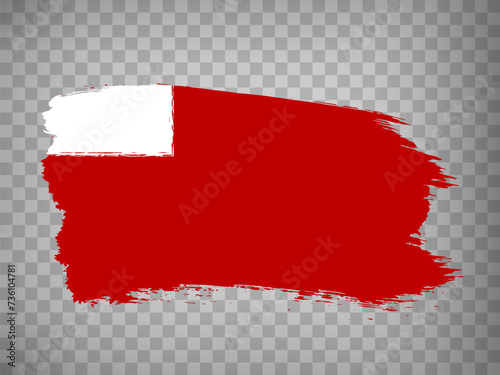 Flag  Abu Dhabi is capital of United Arab Emirates brush stroke background.  Flag waving  Abu Dhabi on transparent background for your web site design, app, UI.  EPS10.