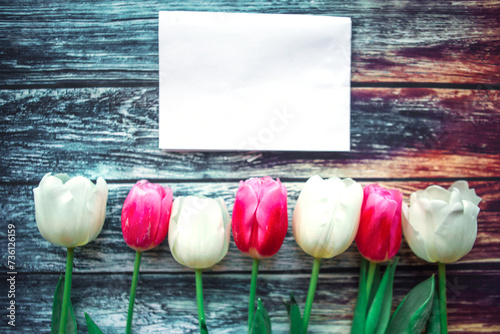 White and red tulips and white mockup blank on blue wooden background. Flat lay, top view, copy space